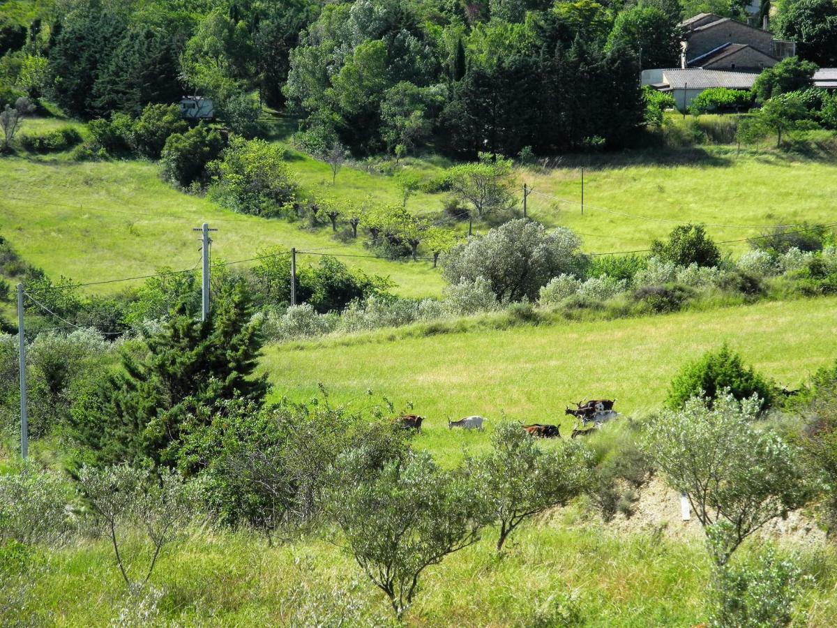 maison d'hôtes, Eco-Domaine&Spa de Pontet-Fronzèle Lagorce (Ardeche) Exterior foto